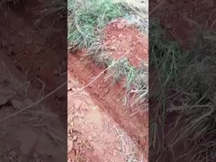 0.6 ตัน 0.8 ตัน มินิครอลเลอร์ excavator เครื่องขุดขนาดเล็ก